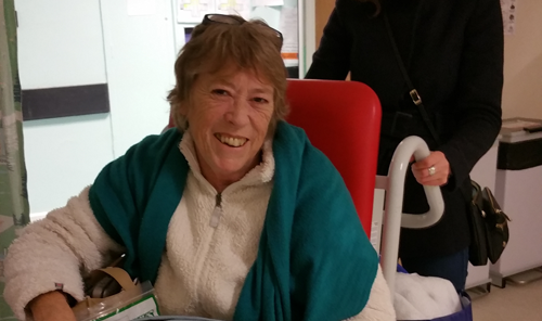 Lupus patient Barbara Chidgey describes the Lleswyl experience, from dream to reality
