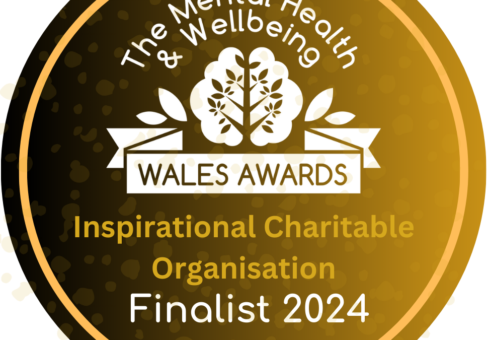 Finalists in the Mental Health and Wellbeing Awards 2024