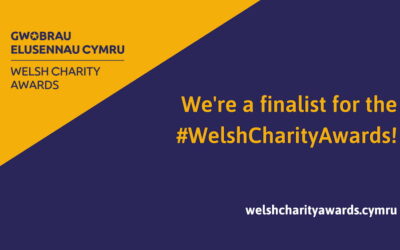 Daring to Dream finalists in the Welsh Charity Awards 2024!