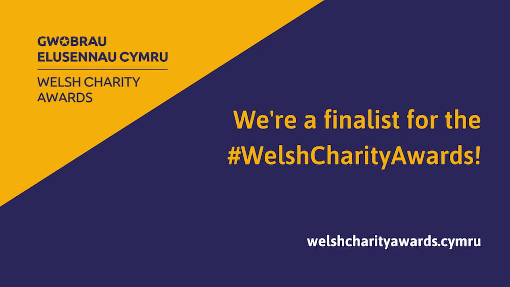 Daring to Dream finalists in the Welsh Charity Awards 2024!