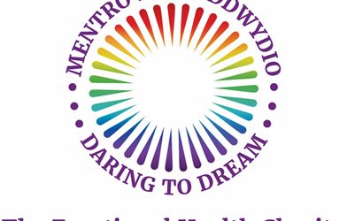 Daring to Dream Business and Strategic Planning with Cranfield Trust
